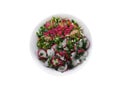 Salad with radishes and roasted chikens Royalty Free Stock Photo