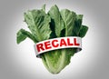 Salad Recall