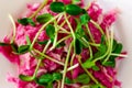 Salad of red radish and fresh sunflower sprouts