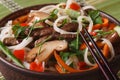 Salad of rice noodles with meat, mushrooms and vegetables macro Royalty Free Stock Photo