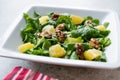 Salad with Rocket Leaves, Orange and Walnuts / Arugula or Rucola. Royalty Free Stock Photo