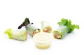 Salad Rolls tuna on white background