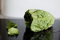 Salad Lettice Fresh Leaf Romaine