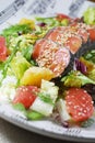 Salad with salmon Royalty Free Stock Photo