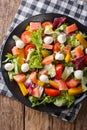 Salad with salmon fish, mozzarella cheese and fresh vegetables c Royalty Free Stock Photo