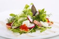 Salad with seafood Royalty Free Stock Photo