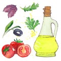 Salad set. Olive oil bottle, basil leaf, olive, arugula, parsley, tomato