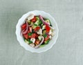 Salad Shirazi Royalty Free Stock Photo