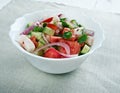 Salad Shirazi Royalty Free Stock Photo