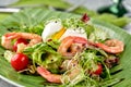 Salad from shrimp with lettuce, arugula, eggs, tomatoes, olive oil and balsamic vinegar.