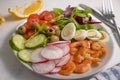 Salad with shrimps, tomatoes in a plate cooking prepared Royalty Free Stock Photo