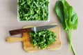 Salad sliced on cutting board and knife on table, vitamins for vegetarian, In flat lay