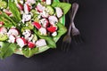 Salad with sorrel, cucumber, radish, speenach, sesame and cheese