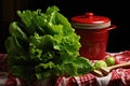 a salad spinner with freshly washed lettuce leaves Royalty Free Stock Photo