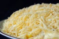 Salad sprinkled with grated cheese closeup Royalty Free Stock Photo