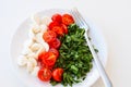 Salad of tomato, mozzarella and rucola Royalty Free Stock Photo