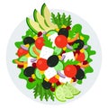 Vegetarian salad in a plate top view vector icon flat isolated Royalty Free Stock Photo