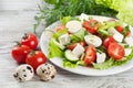 Salad, tomatoes and eggs