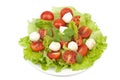 Salad with tomatoes and mozzarella isolated