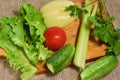 Salad, tomatoes, peper, cucumbers, smallage and parsley Royalty Free Stock Photo