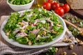 Salad with tomatoes and roasted nuts Royalty Free Stock Photo