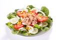 Salad tuna tomato corn and onion