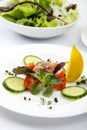 Salad with tunny and vegetable Royalty Free Stock Photo