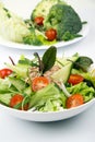 Salad with tunny and vegetable Royalty Free Stock Photo