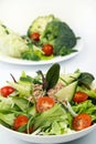 Salad with tunny and vegetable Royalty Free Stock Photo