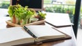 Salad vegetable organic food for health on the table Royalty Free Stock Photo