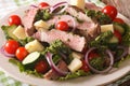 Salad vegetables, cheese and beef steak with chimichurri sauce c Royalty Free Stock Photo