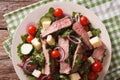 Salad vegetables, cheese and beef steak with chimichurri sauce c Royalty Free Stock Photo