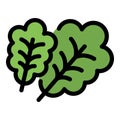 Salad vitamin icon vector flat Royalty Free Stock Photo