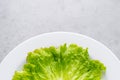 salad on a white plate, diet, proper nutrition, figure, green lettuce leaf, natural product, fitness, diet food, restaurant food Royalty Free Stock Photo