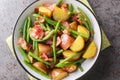 Salade Liegeoise Belgian salad with potatoes, bacon and green beans closeup on the plate. Horizontal top view