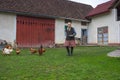 Salaj/Romania - May 16, 2018: old lady feeding her chickens in the yard in countryside