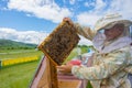 Salaj, Transylvania region, Romania - May 16, 2018: Beekeeper inspecting honeycomb frame at apiary, holding a honeycomb full of