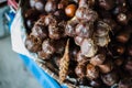 Salak Fruit Royalty Free Stock Photo