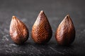 Salak fruit or snake fruit on black background