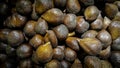 Salak fruit is sold on traditional Asian markets