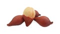 Salak on white background, Salak, fruit, food, Thai fruit