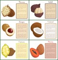 Salak and Longan Coconut Fruit Posters Set Vector