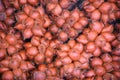 Salak Palm texture background or snake fruit for sale in the fruit market - Salacca zalacca Royalty Free Stock Photo