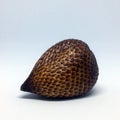 Salak pondoh fruit. Royalty Free Stock Photo