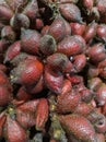 Salak, Salacca, Zalacca or Snake Fruit Royalty Free Stock Photo