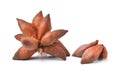 Salak snake fruit isolated on white background Royalty Free Stock Photo