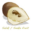 Salak / Snake fruit