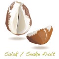 Salak / Snake fruit