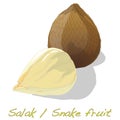 Salak / Snake fruit