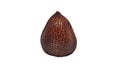 Salak or Snakefruit isolated with white background
